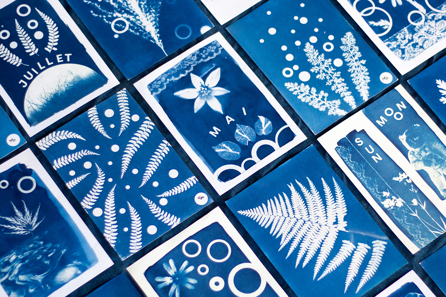 Cyanotype ©Fañch Lepage